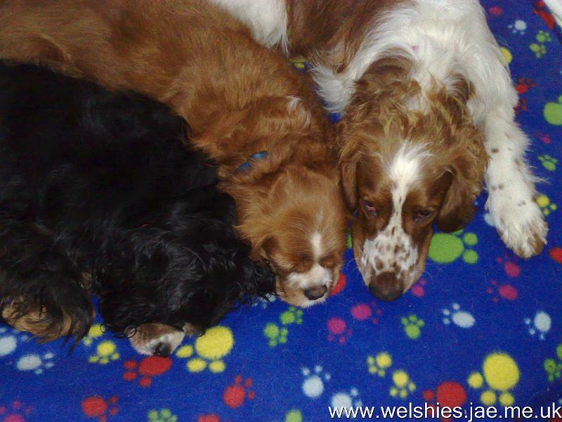 2010-01-06 01.jpg - All lined up!